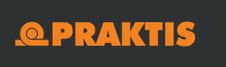 Практис